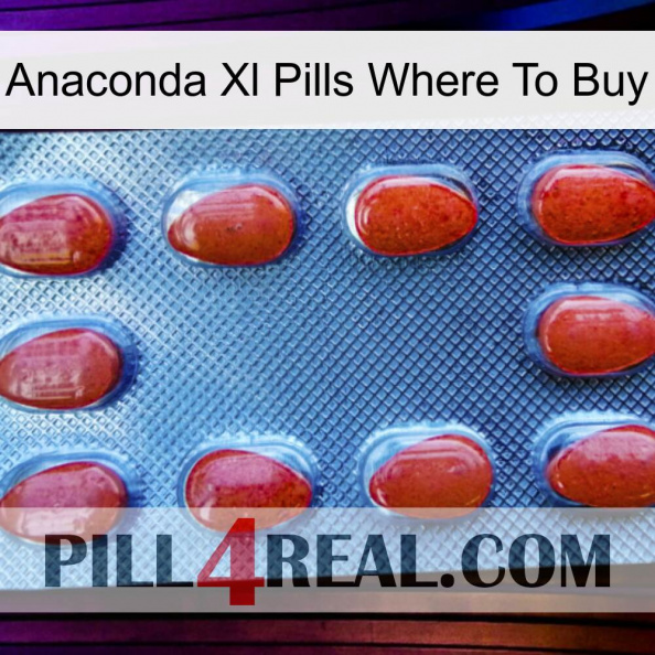 Anaconda Xl Pills Where To Buy 06.jpg